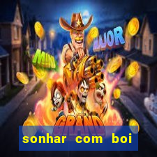 sonhar com boi jogo do bicho